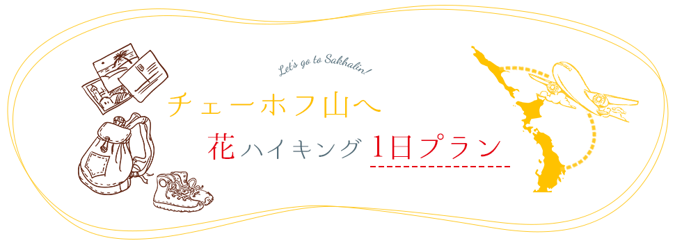 ユジノサハリンスク（郊外）　チェーホフ山へ花ハイキング1日コース