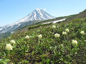 ヴィリンチンスキー山麓