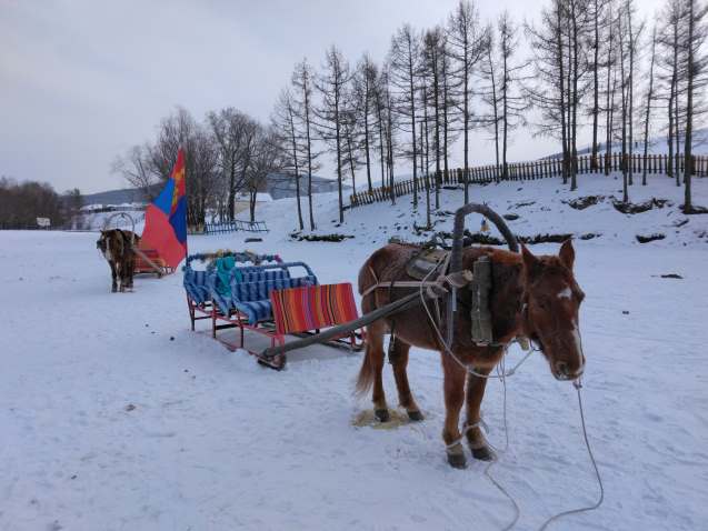 馬車